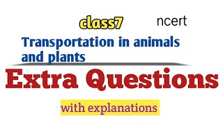 Transportation in Animals and Plants class7  Extra Questions  with explanations [upl. by Evaleen]