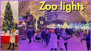 Chicago Lincoln park zoo lights 2022  Christmas light show  Christmas walk 2022 [upl. by Groves341]