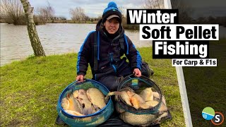 Soft Pellet Fishing For Carp amp F1s In Winter  Lindholme Lakes [upl. by Odranreb786]