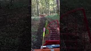 Kubota B1600DT in the forest [upl. by Yesak427]