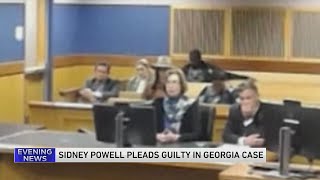 Sidney Powell pleads guilty in Georgia election interference case [upl. by Noneek554]