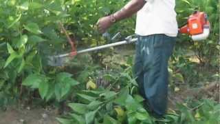 BRUSH CUTTER WITH MULBERY ATTACHMENT DEMO VIDEO [upl. by Christoforo]