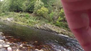 River Findhorn Salmon Scotland Fly Fishing [upl. by Adnilahs]