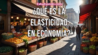 ¿Qué es la Elasticidad en Economía [upl. by Crim]