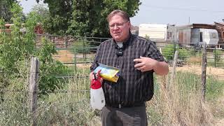 Gardening basics How to control bindweed in flower beds [upl. by Bulley]