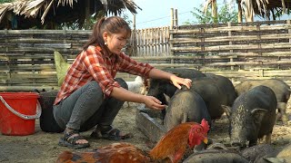 Cut vegetables in the garden to sell feed the pigs cook smoked pork ribs [upl. by Assirk937]