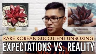 Rare Korean Succulent Unboxing  Expectations vs Reality [upl. by Ecirtel]