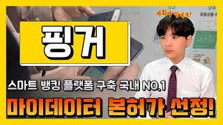 핑거 국내 금융 비대면 플랫폼 구축 TOP 핀테크 기업ㅣ마이데이터 관련주ㅣ민앤지·NICE평가정보·엑셈 [upl. by Millan]