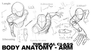 THE REAL CLASS  BODY ANATOMY  ARM [upl. by Gillan815]