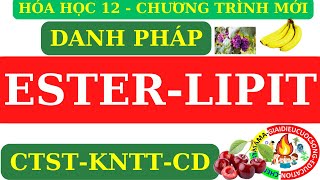 HÓA 12 MỚI  ESTER  LIPIT  GỌI TÊN CÁC CHẤT TRONG SGK CTSTKNTTCÁNH DIỀU CHƯƠNG TRÌNH MỚI [upl. by Lurlene54]