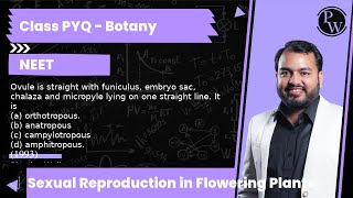 Ovule is straight with funiculus embryo sac chalaza and micropyle lying on one straight line I [upl. by Su]