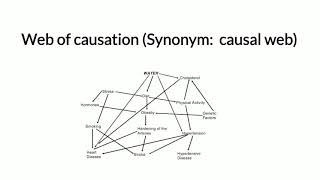 Web Of Causation [upl. by Aramac]