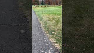 7 Ambassador Course Hickory Run Boyertown PA [upl. by Adnohsar]