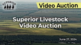 Superior Livestock Auction  Video Auction [upl. by Sadie724]