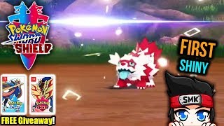 LIVE Shiny Galarian Zigzagoon with New Shiny Hunting Method Pokemon Sword and Pokemon Shield [upl. by Einitsed55]