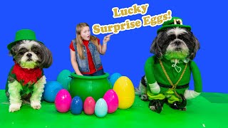 Assistant and Wiggles And Waggles Open Lucky Leprechaun Surprise Eggs [upl. by Asel647]