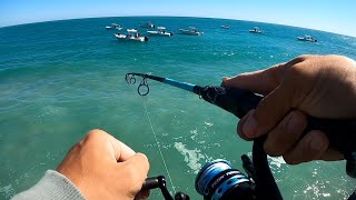 SEBASTIAN INLET FISHING  Catch and Cook [upl. by Harwell]