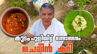 കുടം പുളിയിട്ടു വെച്ച നല്ല ചെമ്മീൻ കറിയുണ്ട്  Naadan chemmeen curry  Annamma chedathi special [upl. by Seuqirdor]