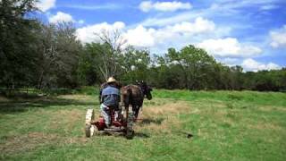 Horse Drawn Hay Mower [upl. by Nospmis568]