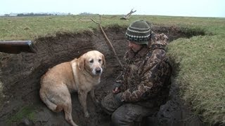 Wildfowling in Scotland [upl. by Ahsem]