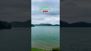 Stunning Immensee Switzerland switzerland youtubeshorts shorts trending [upl. by Emlin]