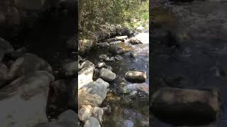 Elfin Forest Escondido Creek Goes all the way to San Elijo Lagoon then the Pacific at Cardiff [upl. by Kappel616]