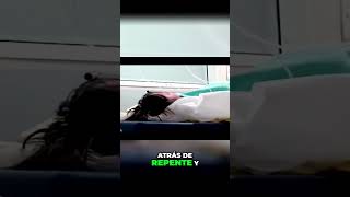 ¡Increíble actividad paranormal en el hospital ¿Fantasmas o posesiones demoníacas [upl. by Midis]