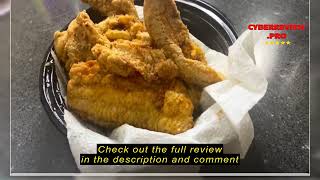 Review Presto 05420 FryDaddy Electric Deep Fryer [upl. by Emelin]