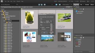 Rename Adjust DateTime and Visibility in Adobe Photoshop Elements 10 [upl. by Annecorinne]