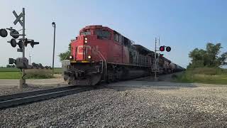 Northbound Canadian National Tanker Train Leaves the Paxton IL Siding [upl. by Nevins]