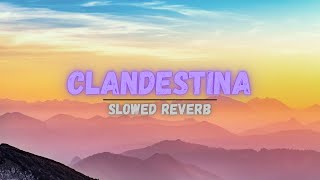 CLANDESTINA SONG SLOWED REVERB  BASS BOOSTED  clandestinas MRINFINITRIX [upl. by Tesler595]