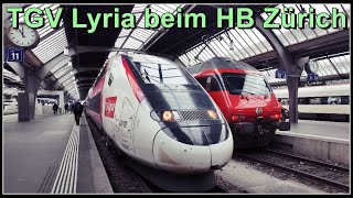 Einfahrender TGV Lyria und ein SBB ICN beim Hauptbahnhof Zürich [upl. by Fadden846]