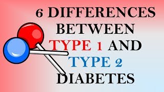 6 Differences Between Type 1 and Type 2 Diabetes [upl. by Lexine]