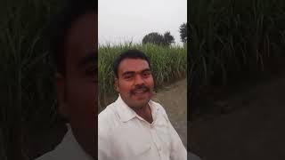 Adat apni chol de viral songs [upl. by Heinrich742]