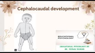 Cephalocaudal development drneerajkumar development growth learner principles [upl. by Anawd]