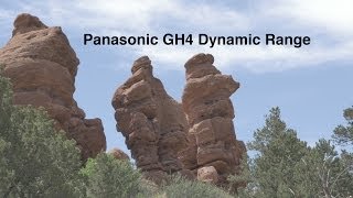 Panasonic GH4 Dynamic Range Comparison vs Nikon D600 [upl. by Swetlana278]