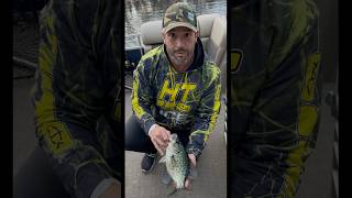 Crappie in the Fall…Whatchuknoboutit [upl. by Anade]