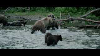 Terre des Ours  au cinéma le 26 février en 3D [upl. by Esilec620]