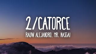 Rauw Alejandro Mr Naisgai  2Catorce LetraLyrics [upl. by Sage881]