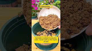 Tips for making nutritious soil using peenutshortsfeed garden plants shorts gardening yt [upl. by Eerej]