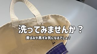 LLビーンのトートバッグ 洗って見ませんか？黄ばみ 黒ずみ 染み抜きビフォーアフター [upl. by Burns525]