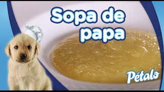 Receta para preparar Sopa de papa Tu Cocina Pétalo® [upl. by Konstance166]