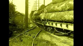 Lumbering in British Columbia  a silent film from circa 1925 [upl. by Inalawi24]