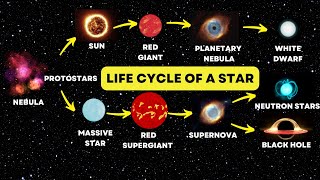 The Stages of the Life Cycle of a Star [upl. by Alledi]