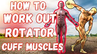 how to workout rotator cuff muscles [upl. by Aivatco]