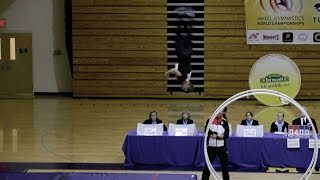 World Championships in Gymwheel 2016 Luca Christ 1st place vault finals [upl. by Annahpos768]