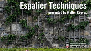 Espalier Techniques with Walter Reeves and Parker Andes [upl. by Ecinahc138]