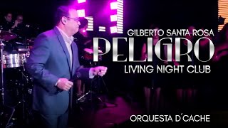 Gilberto Santa Rosa con Orquesta Femenina DCache  Peligro  Salsa en Vivo [upl. by Aicenod613]