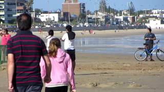 Ballena en playa de Carrasco Montevideo Uruguay  Enero 2014 [upl. by Raines508]