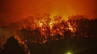 Gatlinburg on fireevacuating pigeon forge [upl. by Guod]